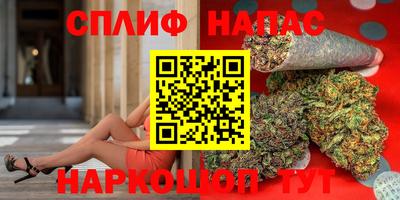 сатива Краснодар
