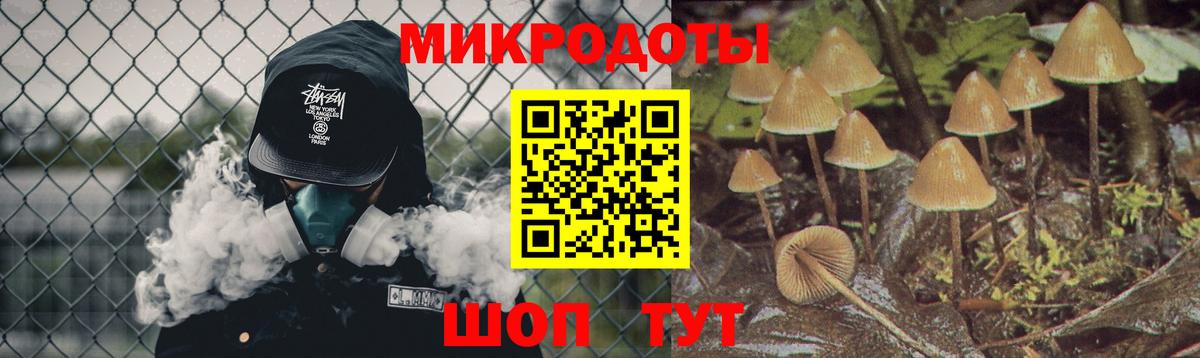 Галлюциногенные грибы Cubensis Кропоткин